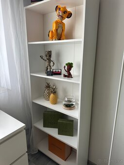 Set nábytku - knihovna a regál - 4