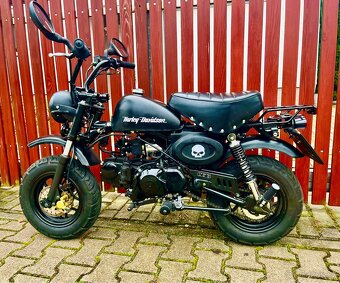 Skyteam Skymini 125 - 2024 - stejné jako Honda Monkey - 4