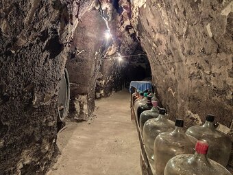 Pronájem, vinný sklep s lisovnou, Nový Šaldorf - 4