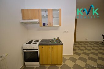 Pronájem bytu 115 m2, 4+kk Bor u Sadova - 4