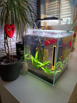 Akvárium se světlem a motorkem - 4