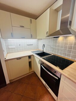 Pronájem, Byty 1+kk, 51m2 - Lovosice (Oparno), ev.č. 00078-5 - 4