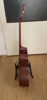 Epiphone PR-200 NS - 4