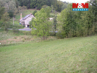 Prodej louky, 2749 m², Janův Důl - 4