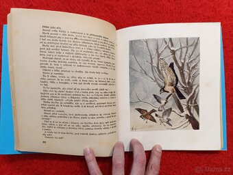 CESTOU A CESTIČKOU - J.H.Týnecký - 4