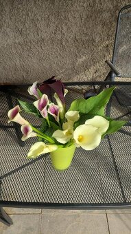 Kaly- cibulky- 3 barvy - 4