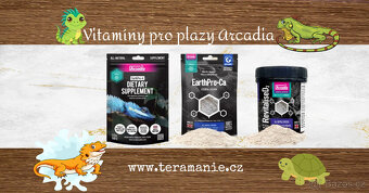Terárium , Osram Biolux , agama vousata - 4