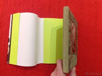 LIŠÁK FERINA T.E.Tisovský - 4