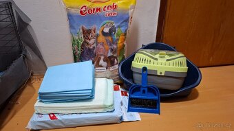 Morčata, 2 samičky - 4