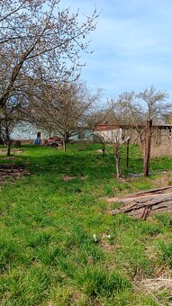 Prodám dum - 4