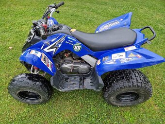 Yamaha raptor r90 r.v 2009 - 4
