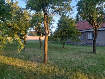 Dům k rekreaci nebo bydlení, stavební pozemek 2000 m2 - 4