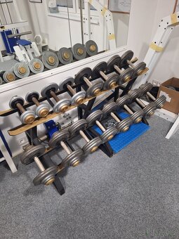 Domáce fitko DAFE, Franka Sport - 4