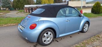 VW New Beetle - 4