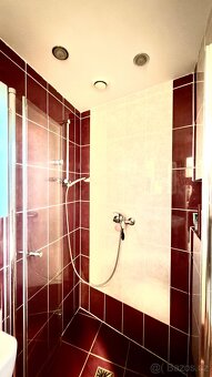 Pronájem bytu 1+1 Karlovy Vary - 4