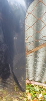 Kapota volvo xc90 II - 4