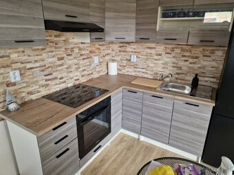 Pronájem DOMU NOVOSTAVBA 40m2, 2 KK , 1300m2 zahrady - 4
