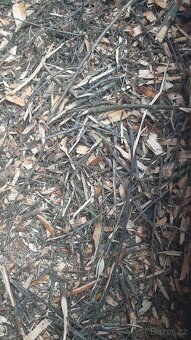 Trnková štěpka – 70 l pytle - 4