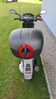 PIAGGIO  TYPHOON 50 - 4