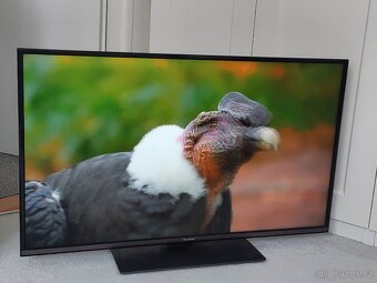43" Panasonic TX-43GX550E - 4