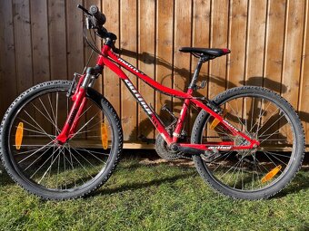 Author Matrix 24 - 4