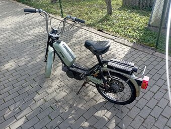 Babetta - 4