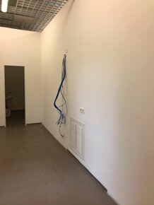 Pronájem obchodního prostoru 326 m² Litoměřice - 4