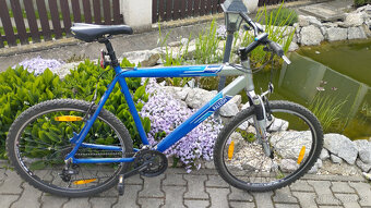 Raleigh horské kolo, pánské - 4