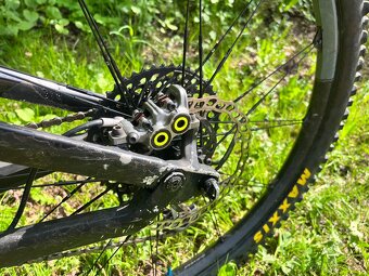 Canyon Torque CF7 - 4