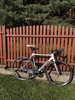 Cannondale CAAD 8, velikost 54 - 4