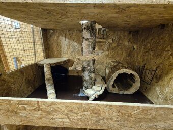 Klec pro činčily, osmáky (hlodavce) - 4