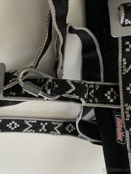 Různé věci pro psi - 4