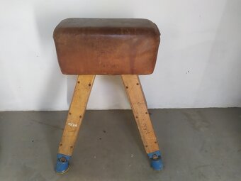 Gymnastická koza, gymnastický kůň, švédská bedna - 4