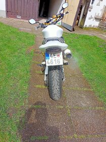 Honda Hornet cb600f - 4