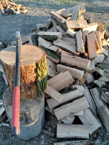Palivové dřevo +rizikové kácení stromů - 4