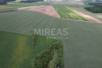 Jiřice, prodej pole 23 867 m2, okr. Nymburk. - 4