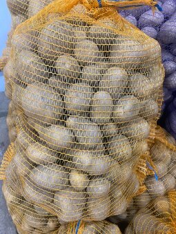 Brambory na uskladnění - 4