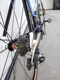 Pells Speedy Campagnolo Veloce, ve.S - 4