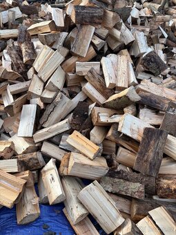 Palivové dřevo - 4