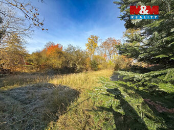 Prodej pozemku k bydlení, 1942 m², Choustník - 4