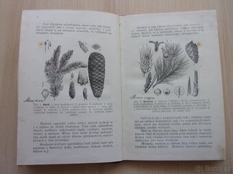 Konrád F. Postupa - ROLNÍK LESNÍKEM - r. 1912 - 4