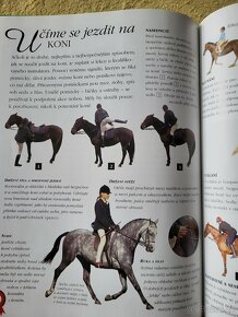 O zvířatech a jejich chovatelství pro čtenáře od 7 let. - 4