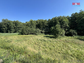 Prodej louky, 5874 m², Bakov nad Jizerou - Malý Rečkov - 4
