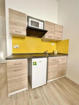 Bytová jednotka v ulici Václavská - 4