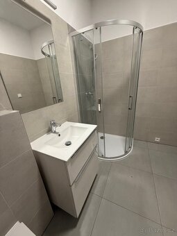 Pronájem Bytu Čáslav - 4