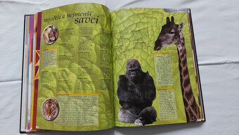 Guinnessova kniha rekordů 1999 - 4