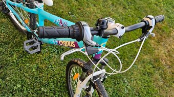 Dívčí kolo Cygnus dirt berry 24 aluminium. - 4