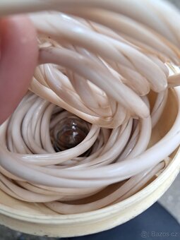 Retro autolampicka - 4