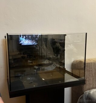 Akvarijní set (rybky daruji klidně zvlášť) - 4