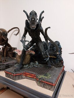 Alien Warrior Prime 1 Studio - 4